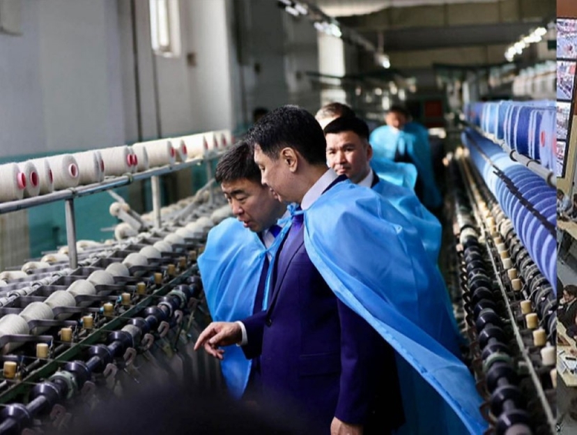 “Цагаан алт” хөтөлбөрийн хүрээнд ноос, ноолуурын үйлдвэрлэл нэмэгджээ