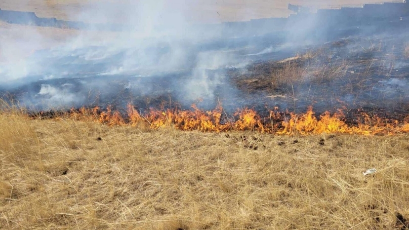 ОБЕГ: Нийслэлийн хэмжээнд өнгөрсөн онд шар өвс шатсан гэх 348 дуудлага бүртгэгдсэн