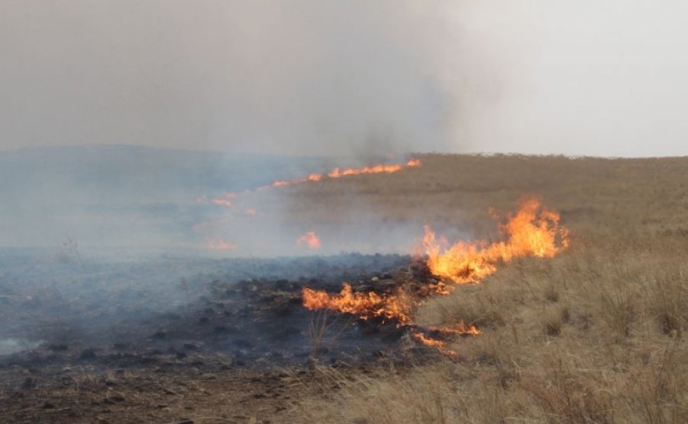 Хөвсгөл аймагт гарсан ой хээрийн түймрийг бүрэн унтраажээ