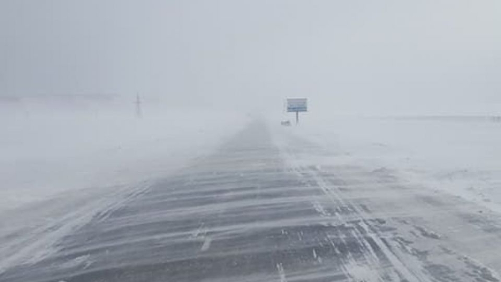 Төөрсөн сураггүй болсон 3 удаагийн дуудлага бүртгэгдэж, эрлийн ажиллагааг зохион байгууллаа