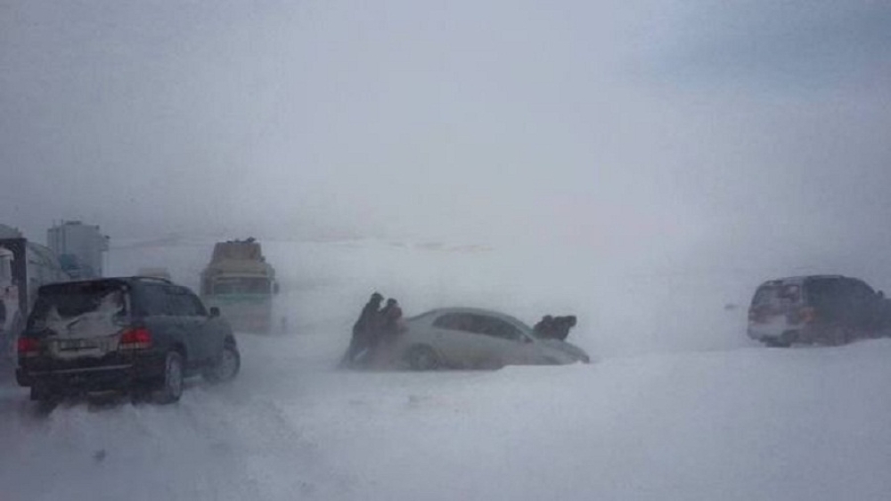 Цасан шуурганд төөрсөн иргэний цогцсыг холбогдох байгууллагад хүлээлгэн өглөө