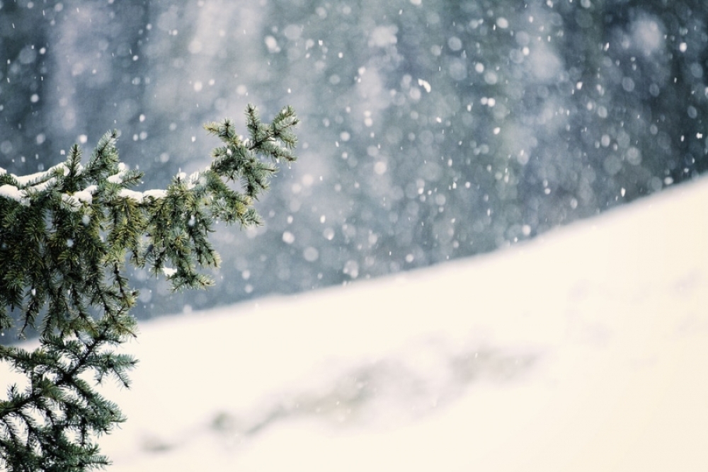 Өнөө шөнөдөө цас орж, цасан шуурга шуурахыг анхаарууллаа