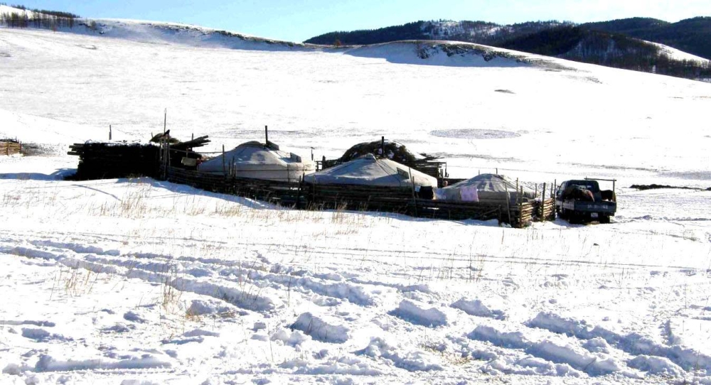 Орон нутгийн 46 хувьд цастай байна