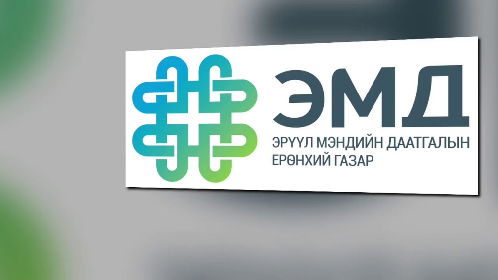 ЭМД-ын сангийн зардал 1728.7 тэрбум төгрөг болж, өмнөх оны мөн үеэс 171 тэрбум төгрөгөөр нэмэгджээ