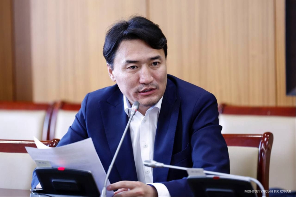 Засгийн газрын 55-р тогтоолын талаар АҮЭБ-ийн сайд Г.Дамдинням тайлбар хийв